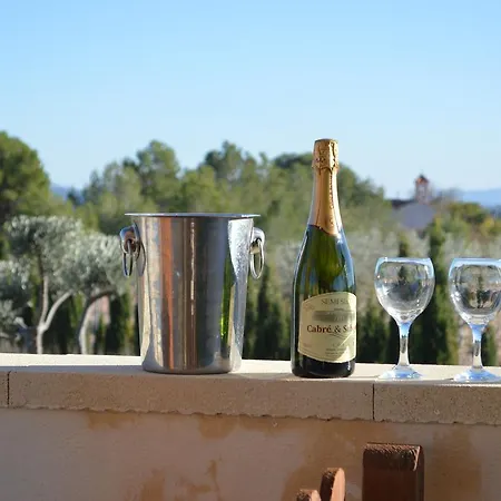 Bed & Breakfast Grapevine Manor Pinoso